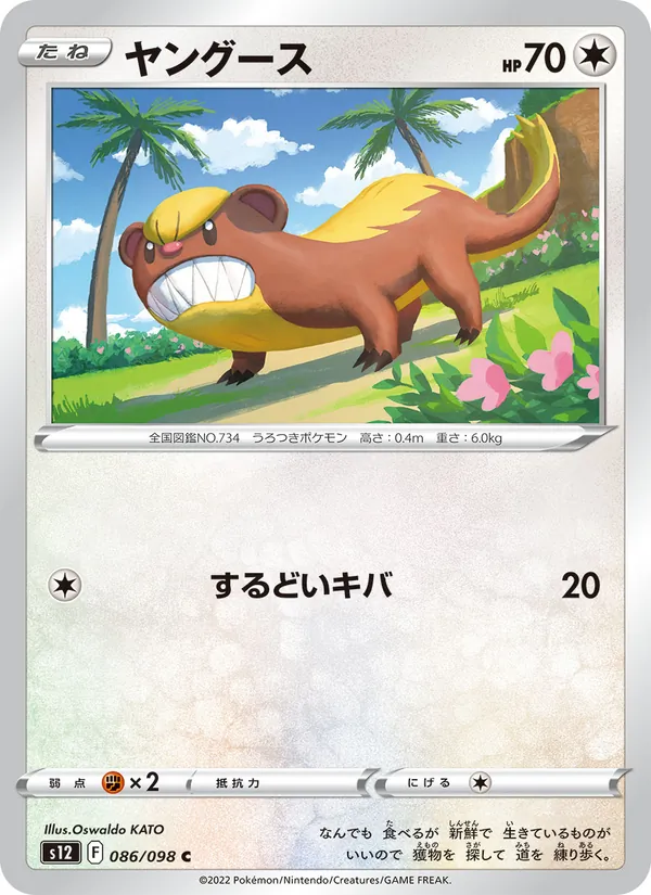 ยังกูส 086/98