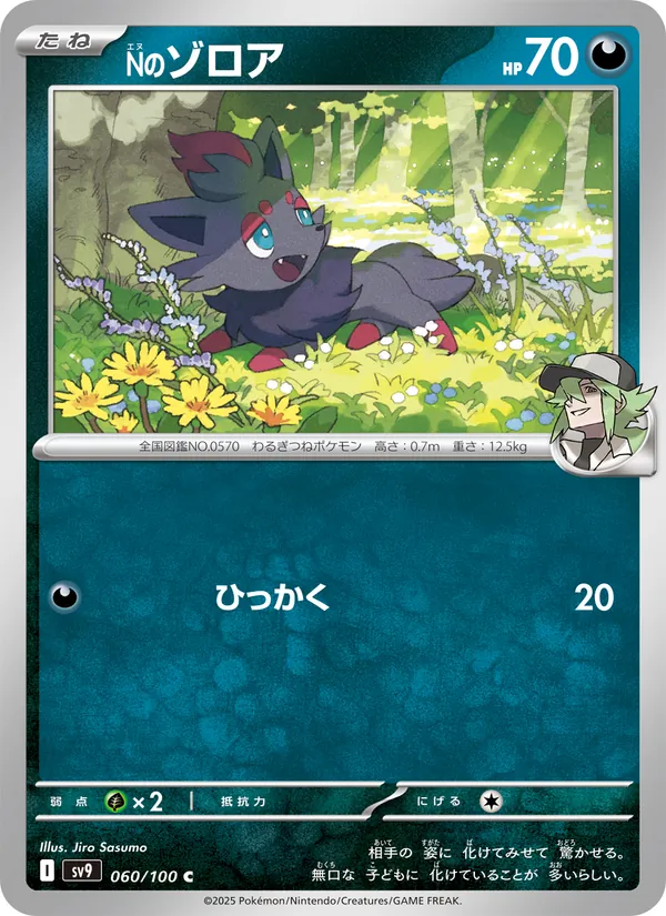 Nのゾロア 060/100