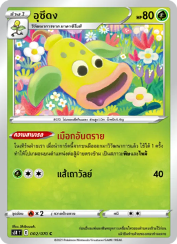อุซึดง 002/70