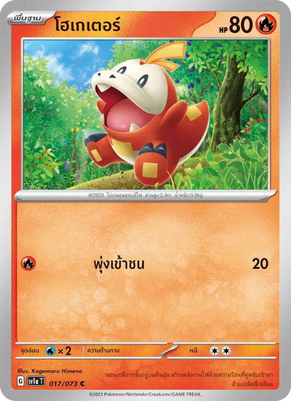 โฮเกเตอร์ 017/73