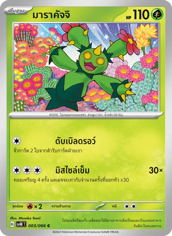 มาราคัจจิ 003/66