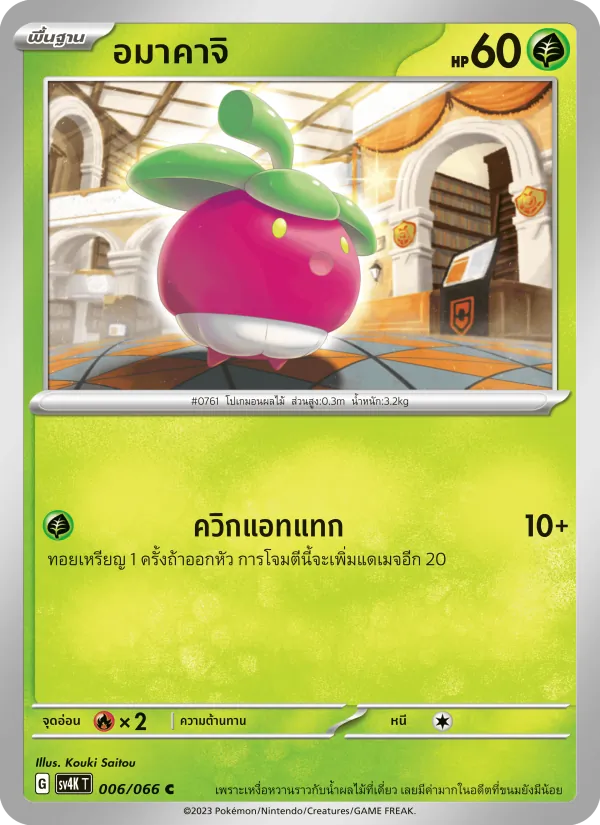 อมาคาจิ 006/66