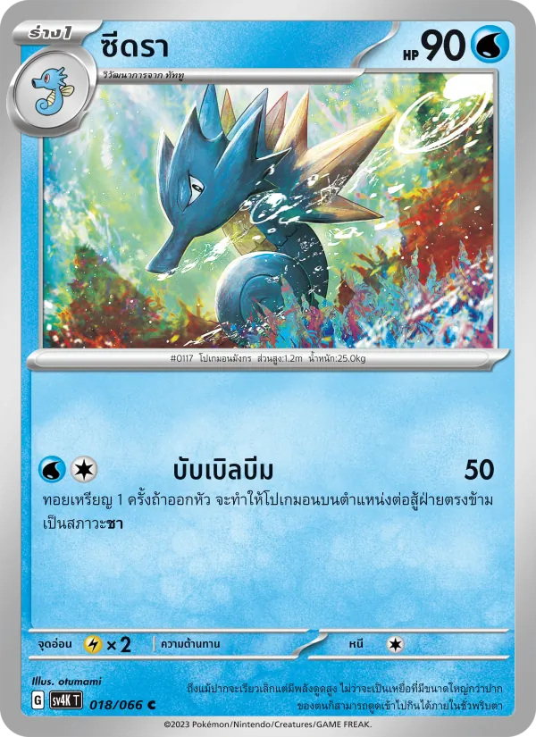 ซีดรา 018/66
