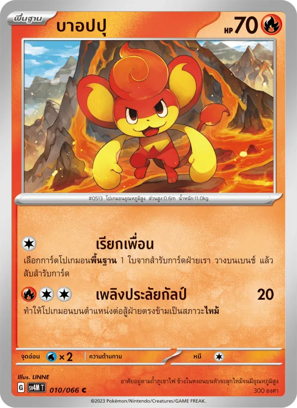 บาอปปุ 010/66