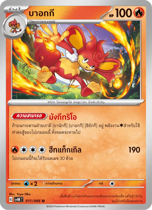 บาอกกี 011/66