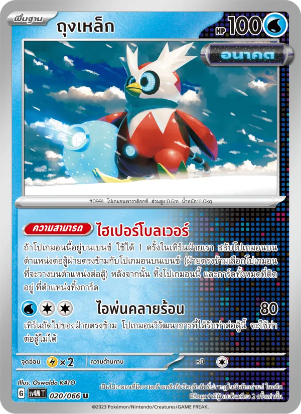 ถุงเหล็ก 020/66