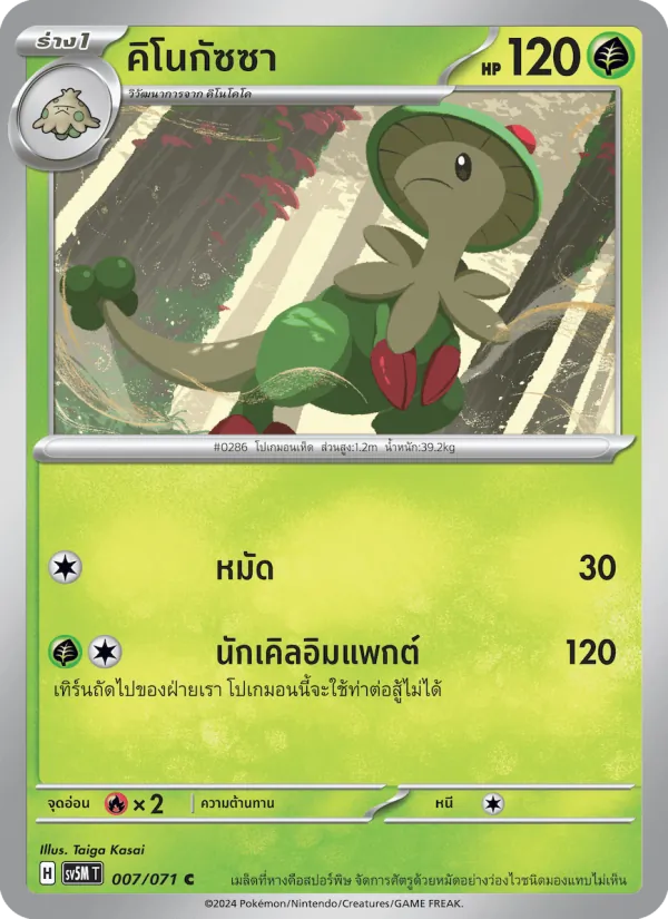 คิโนกัซซา 007/71