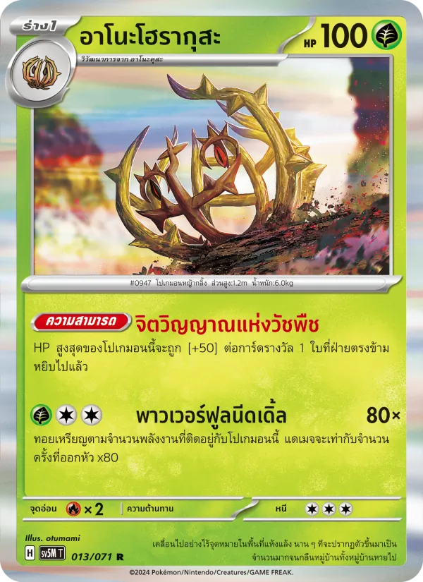 อาโนะโฮรากุสะ 013/71