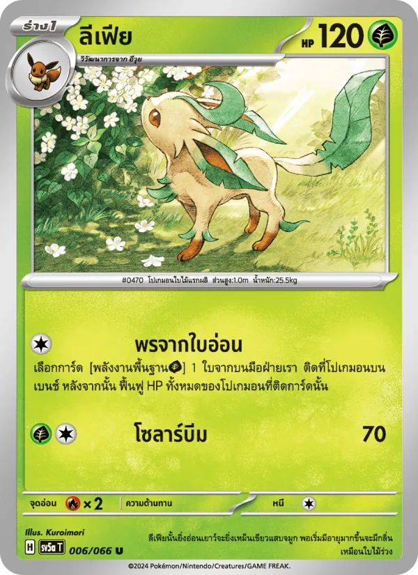 ลีเฟีย 006/66