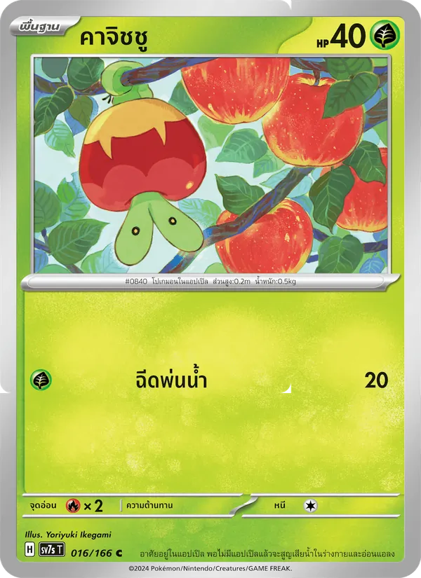 คาจิชชู 016/166