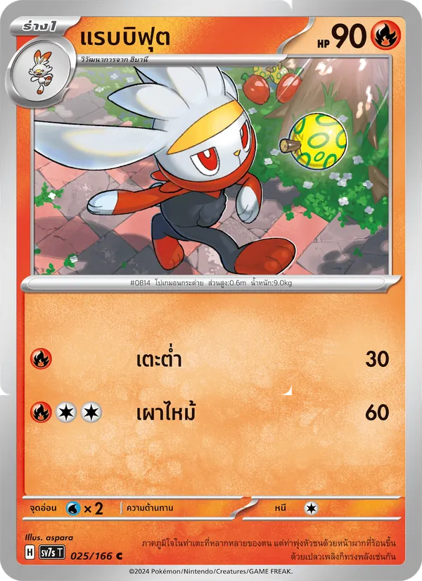 แรบบิฟุต 025/166