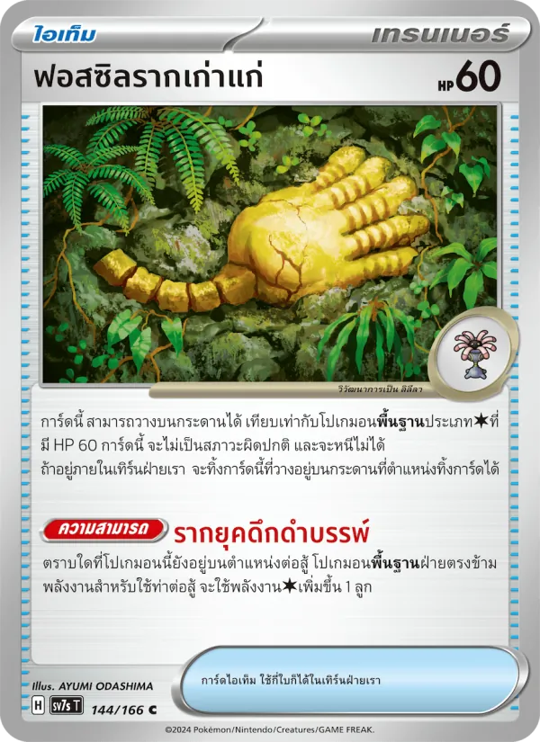 ฟอสซิลรากเก่าแก่ 144/166