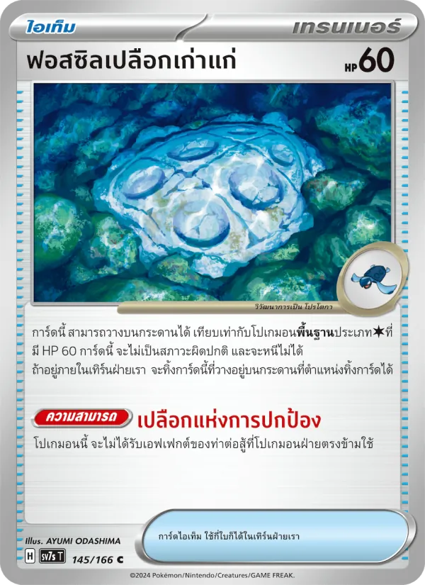 ฟอสซิลเปลือกเก่าแก่ 145/166