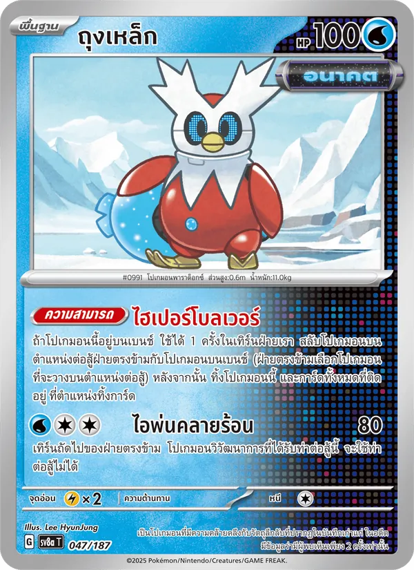 ถุงเหล็ก 047/187