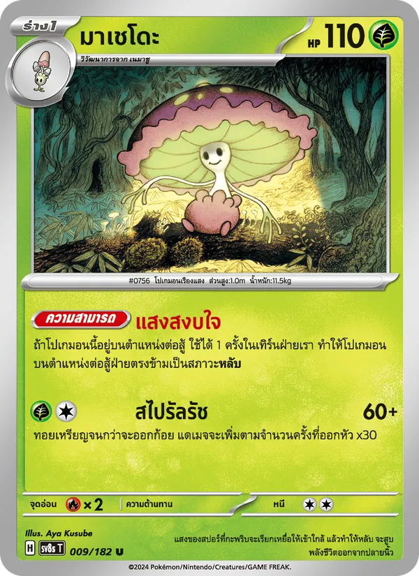 มาเชโดะ 009/182