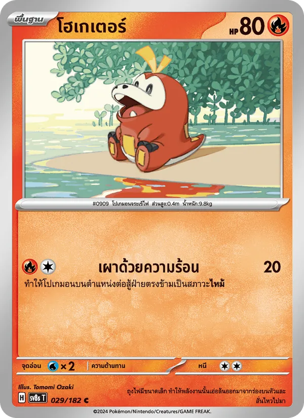 โฮเกเตอร์ 029/182