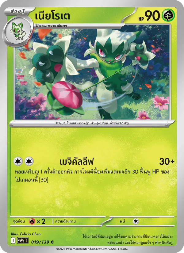 เนียโรเต 019/139