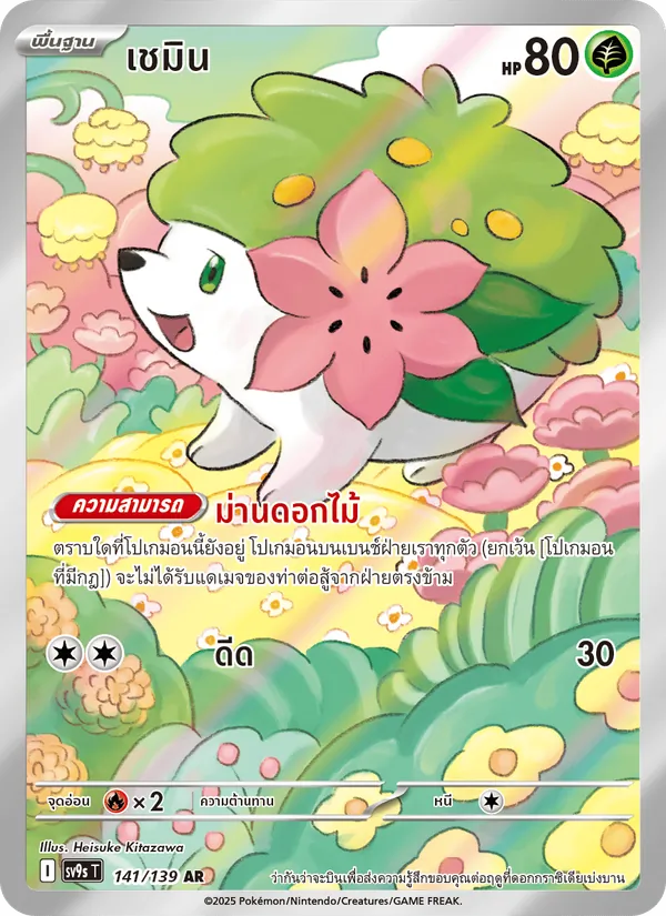 เชมิน 141/139